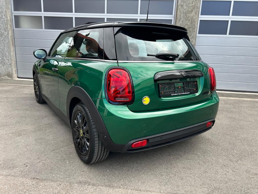 Mini Mini Electric