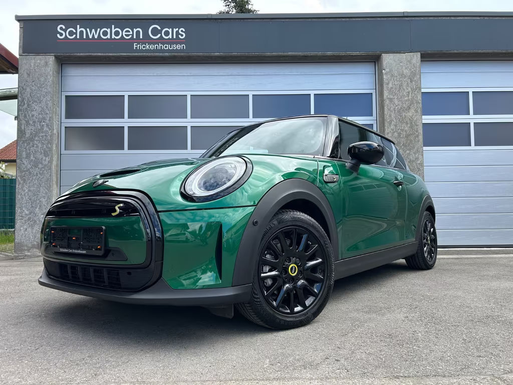 Mini Mini Electric