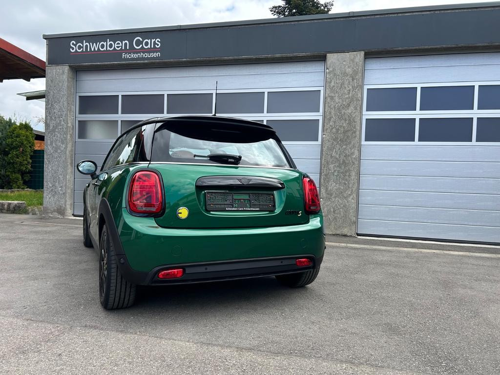 Mini Mini Electric