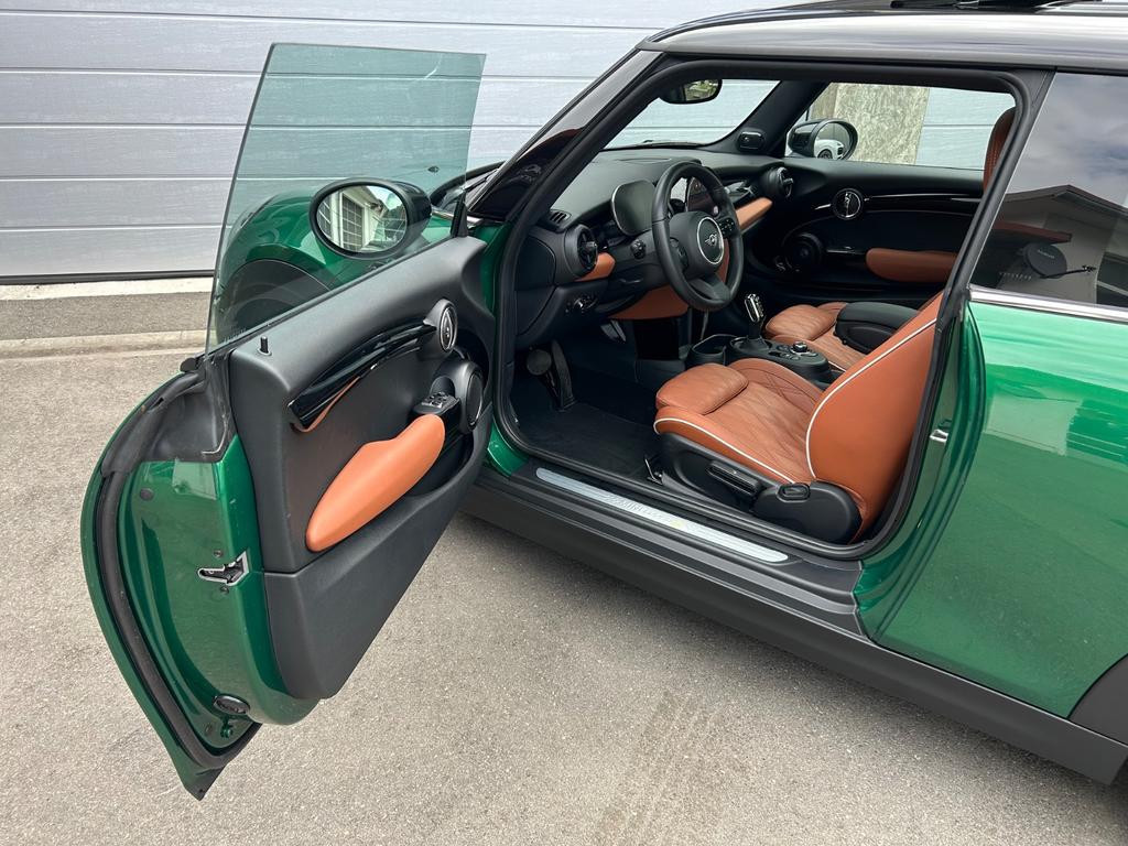 Mini Mini Electric