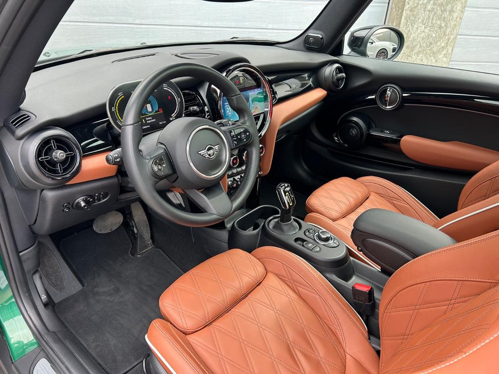 Mini Mini Electric