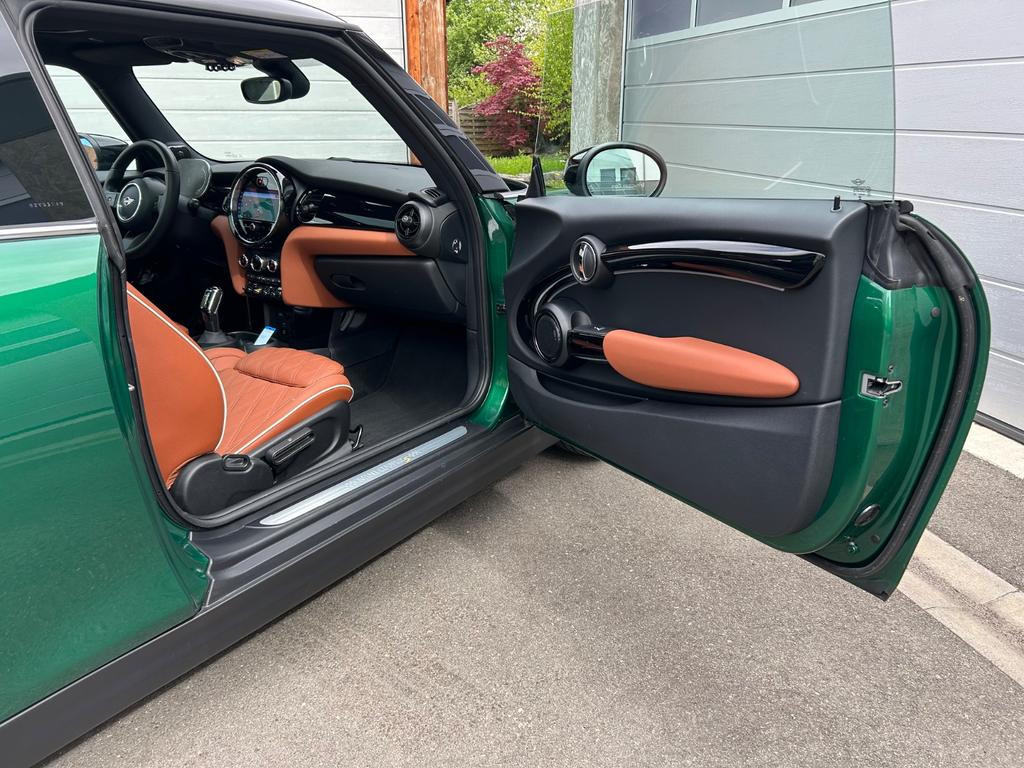 Mini Mini Electric