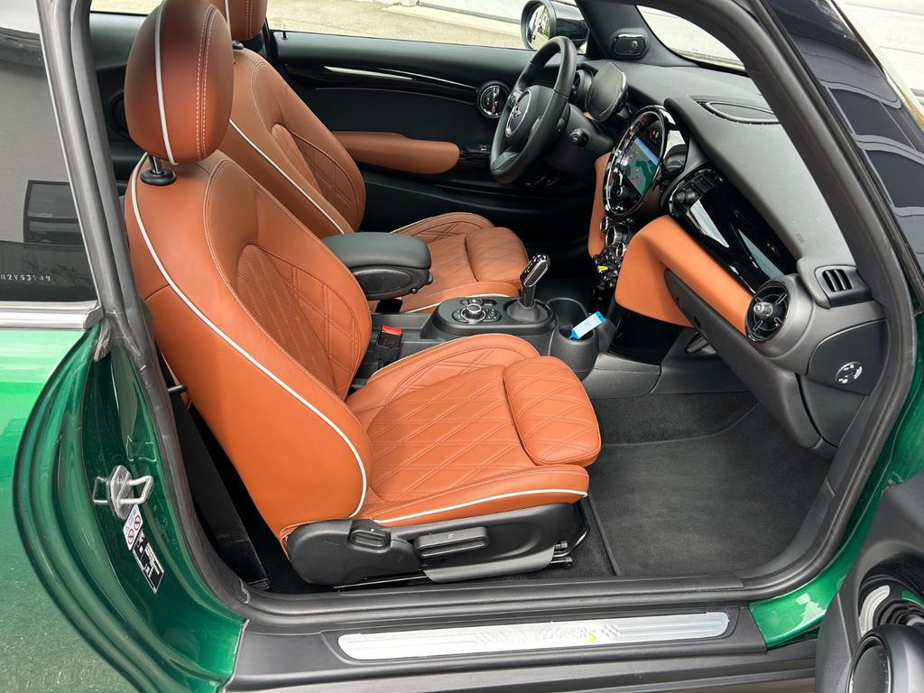 Mini Mini Electric