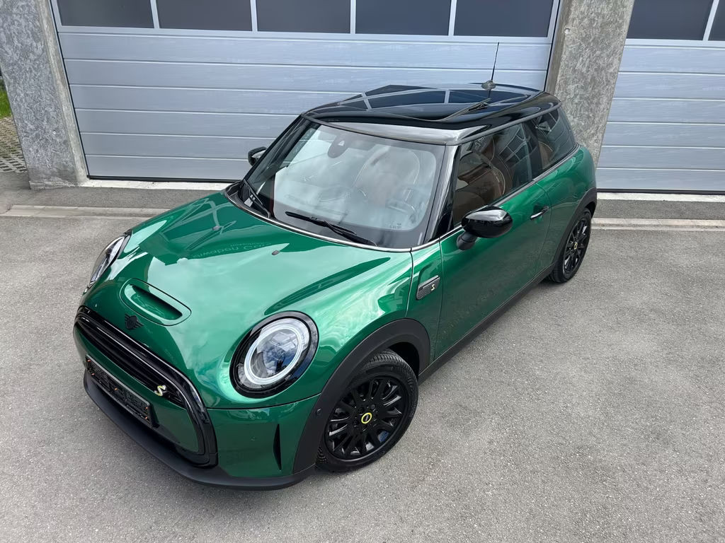 Mini Mini Electric