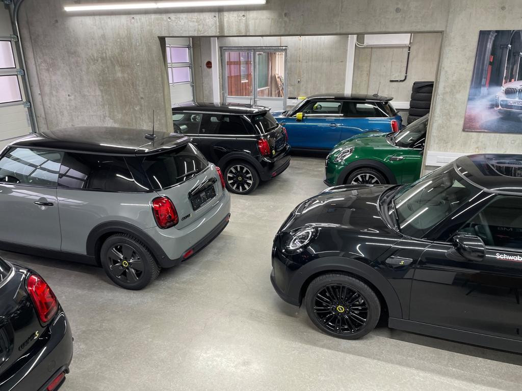 Mini Mini Electric
