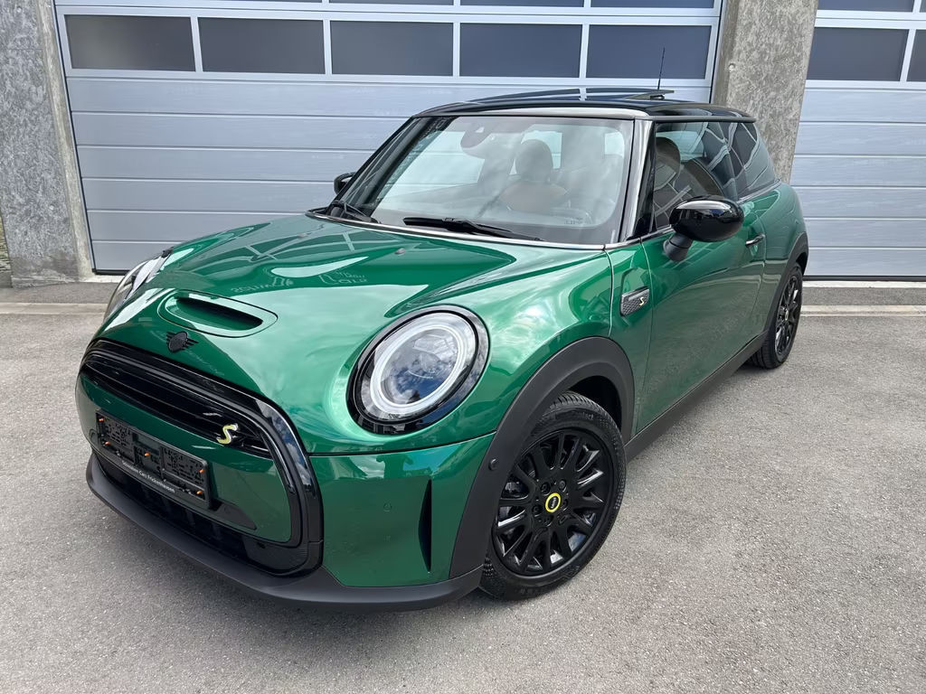 Mini Mini Electric