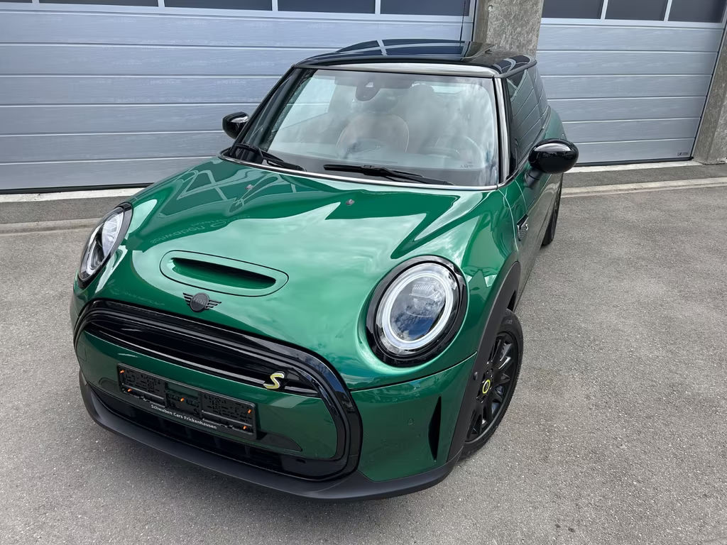 Mini Mini Electric