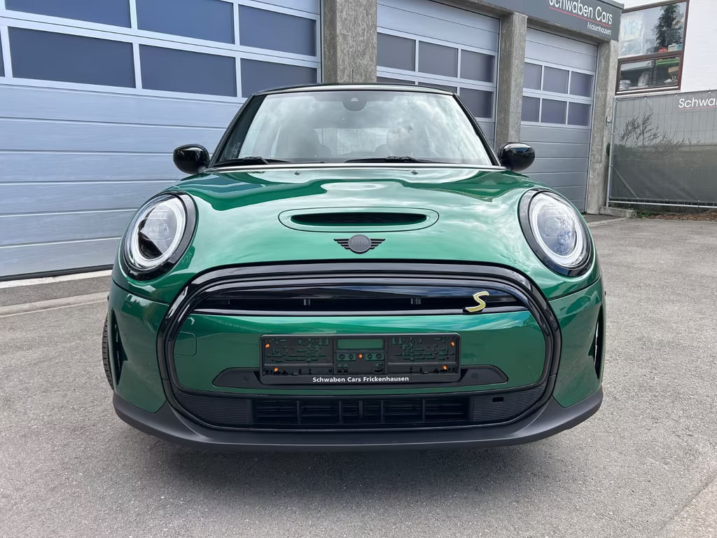Mini Mini Electric