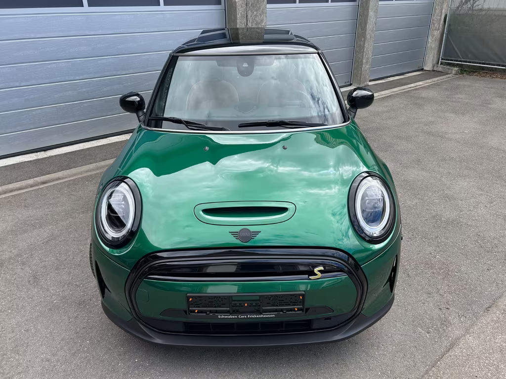 Mini Mini Electric