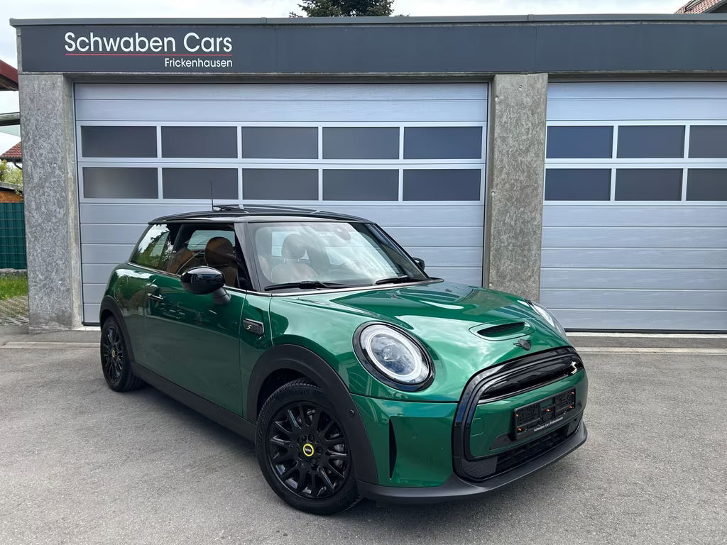 Mini Mini Electric