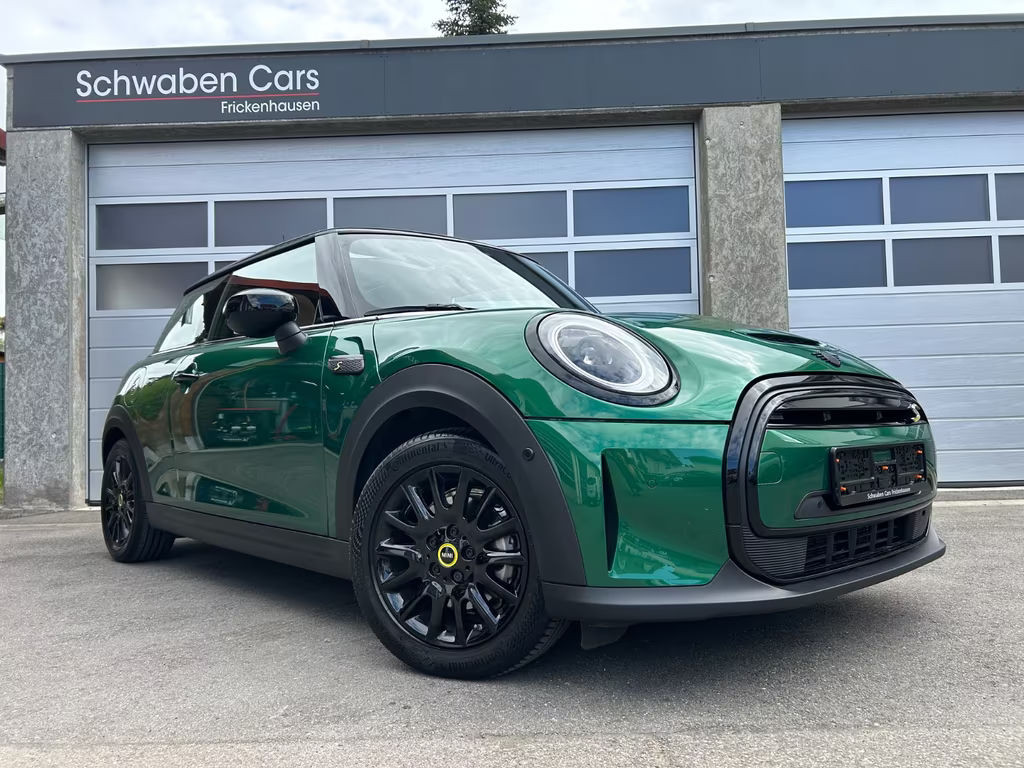 Mini Mini Electric