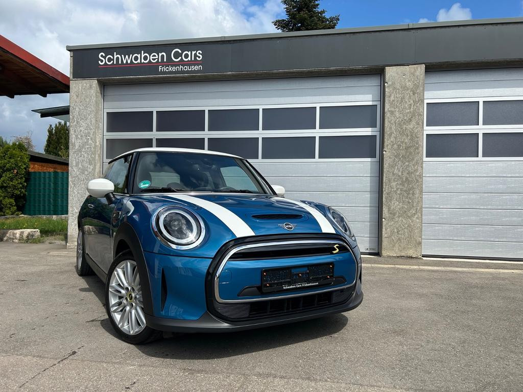 Mini Mini Electric