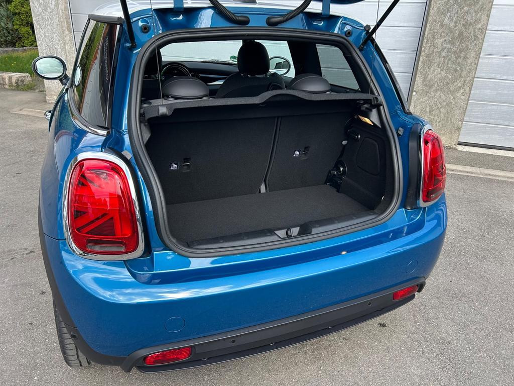 Mini Mini Electric