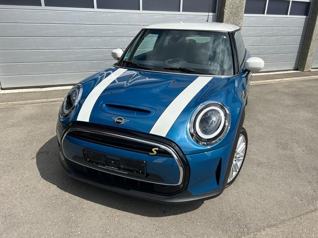Mini Mini Electric