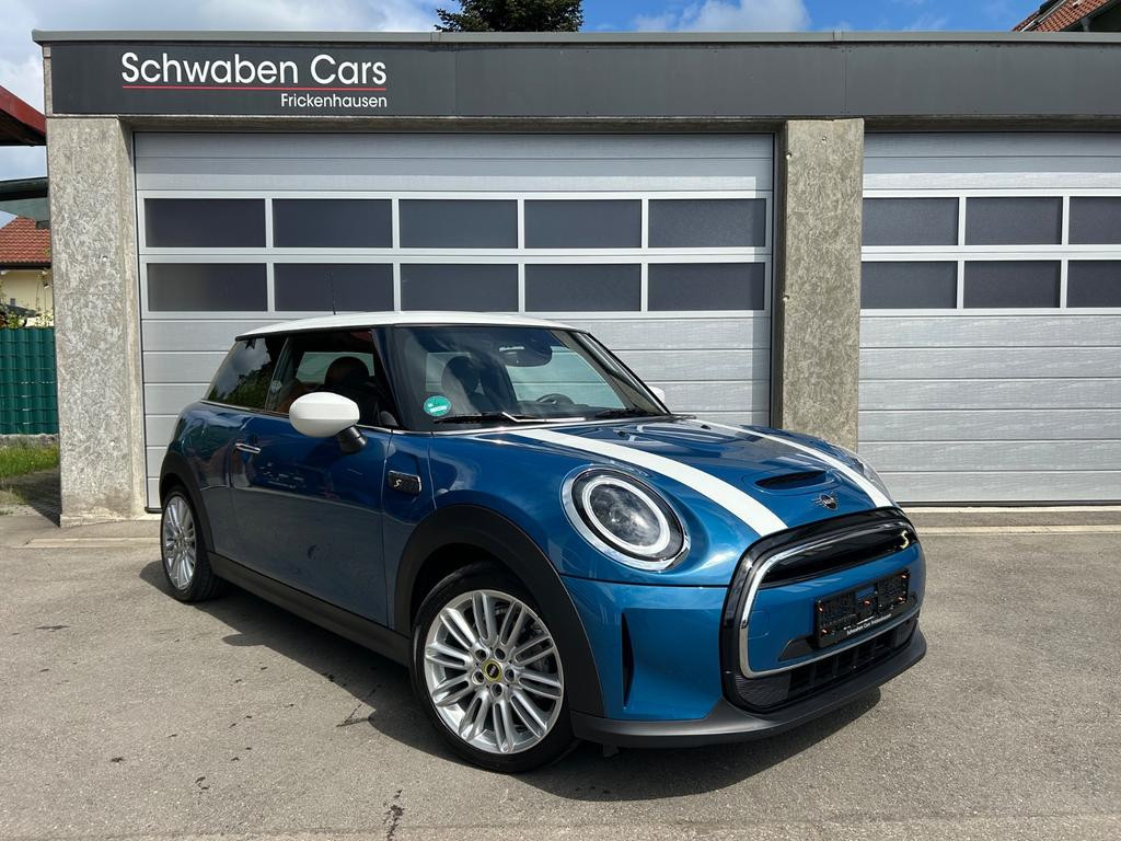 Mini Mini Electric