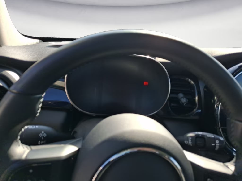 Mini Mini Electric
