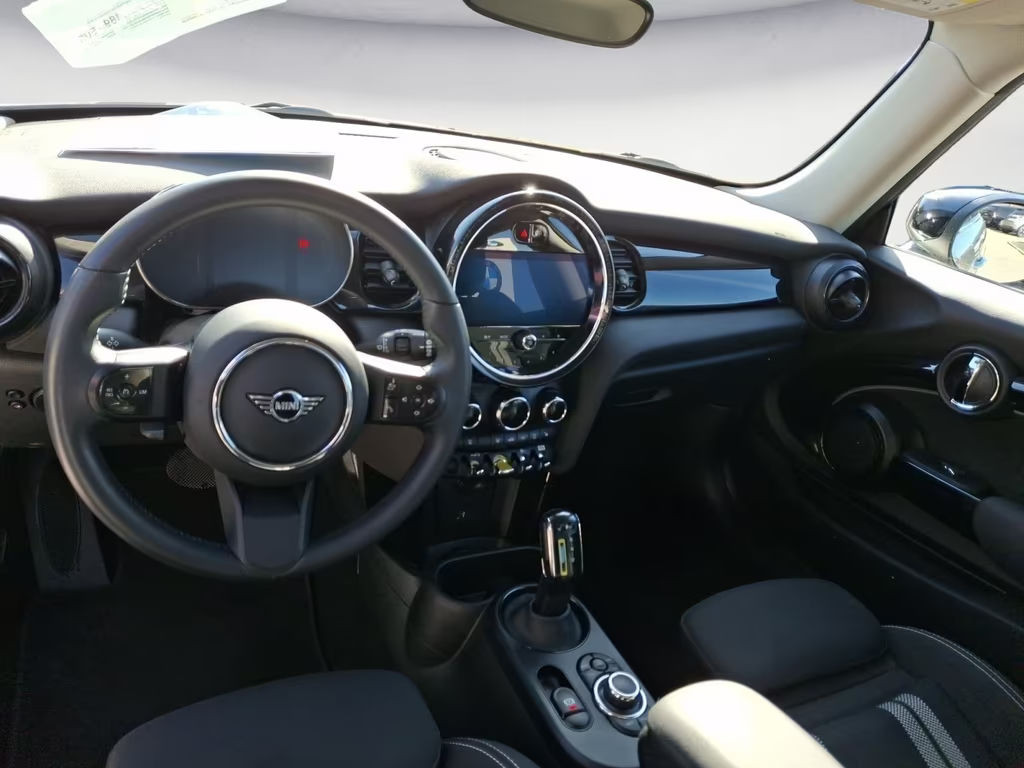 Mini Mini Electric