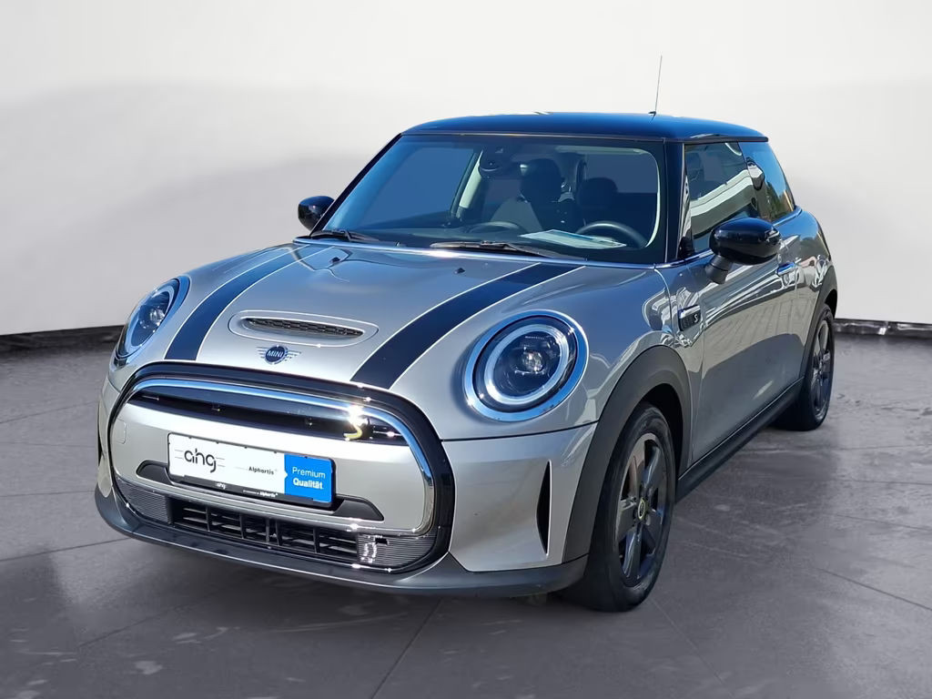 Mini Mini Electric