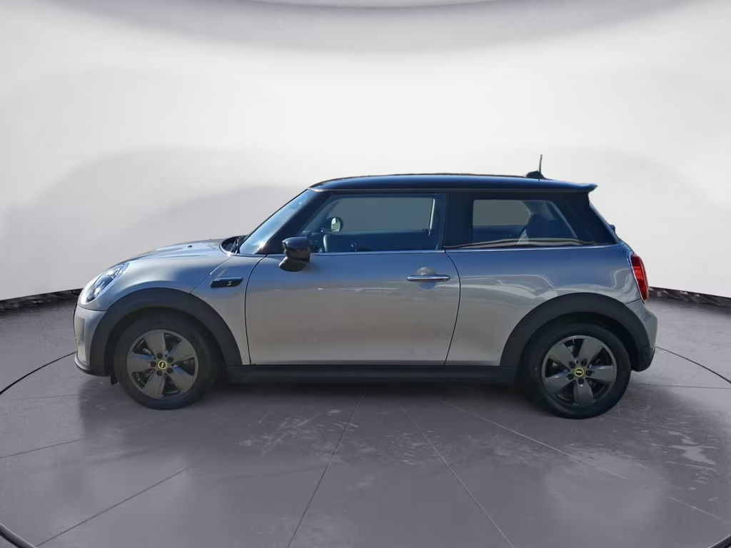 Mini Mini Electric