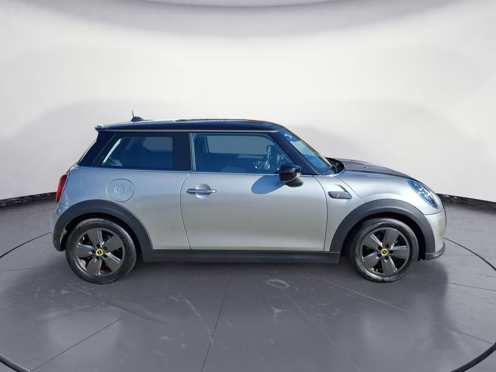 Mini Mini Electric