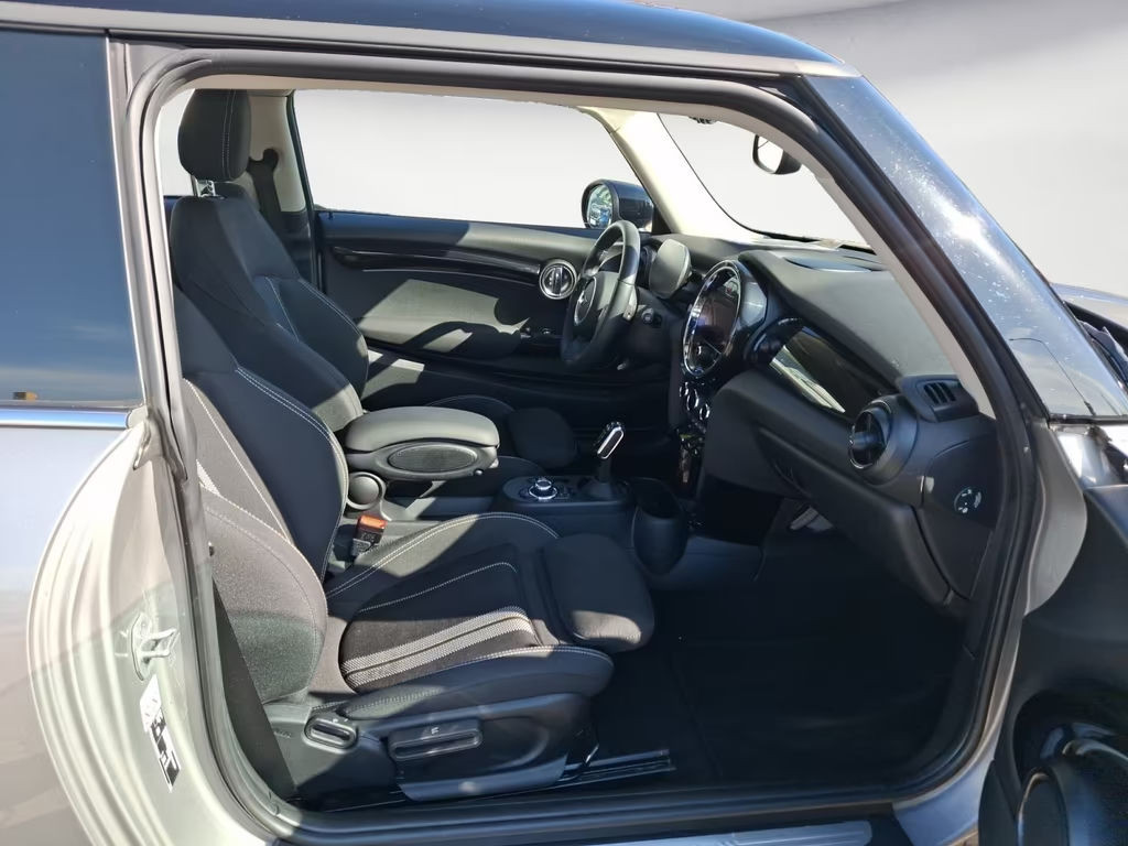 Mini Mini Electric