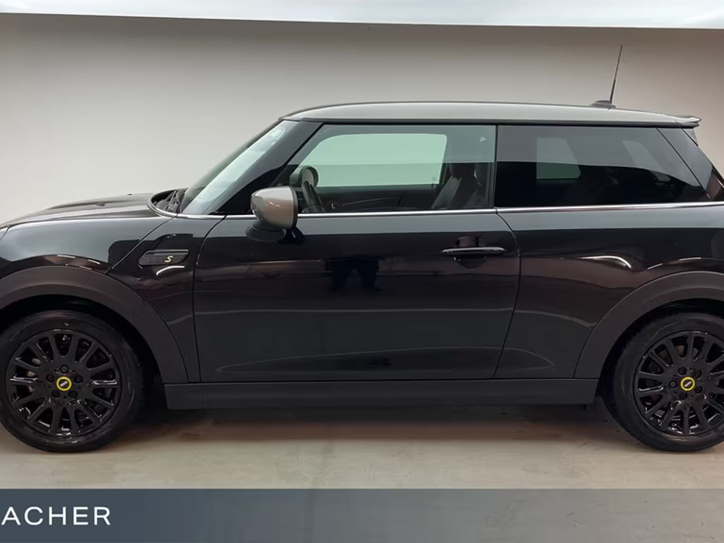 Mini Mini Electric