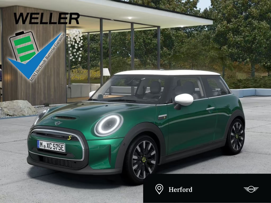 Mini Mini Electric