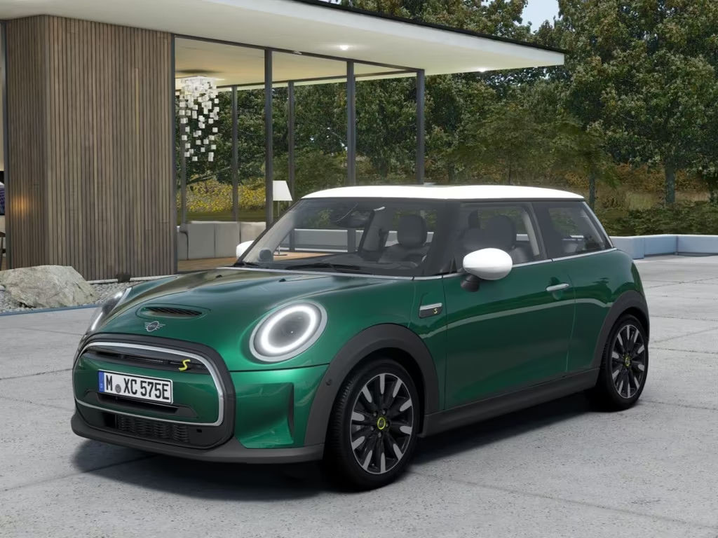 Mini Mini Electric