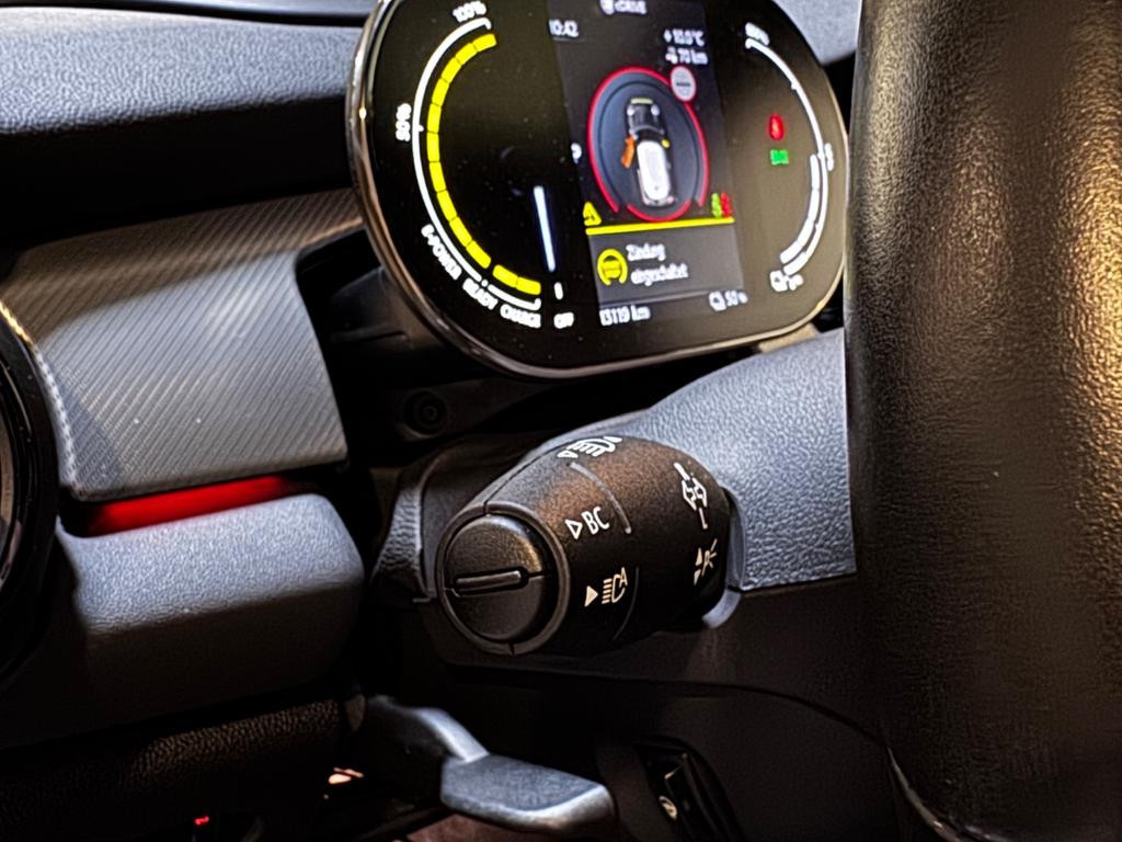 Mini Mini Electric
