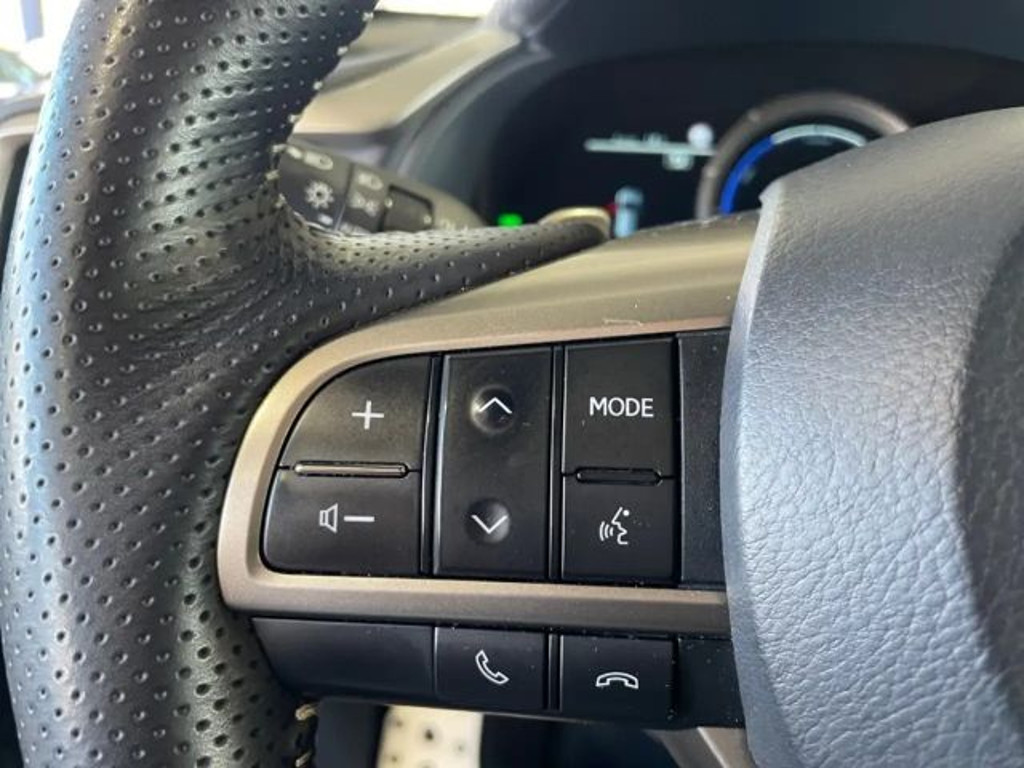 Lexus RX-Serie