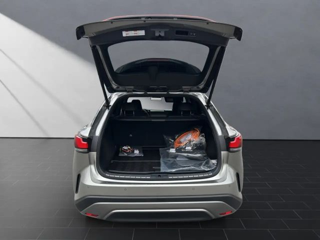 Lexus RX-Serie