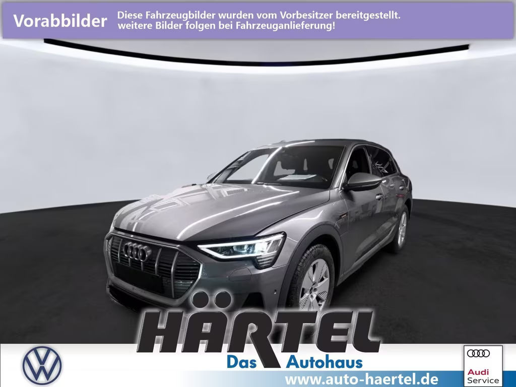 Audi e-tron 2022 Elektrisch