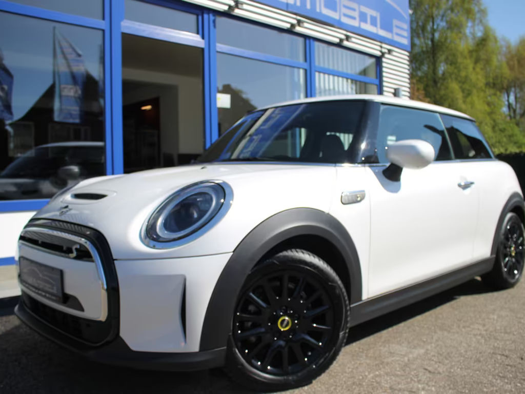 Mini Mini Electric