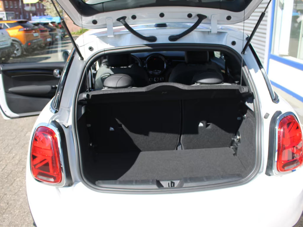 Mini Mini Electric