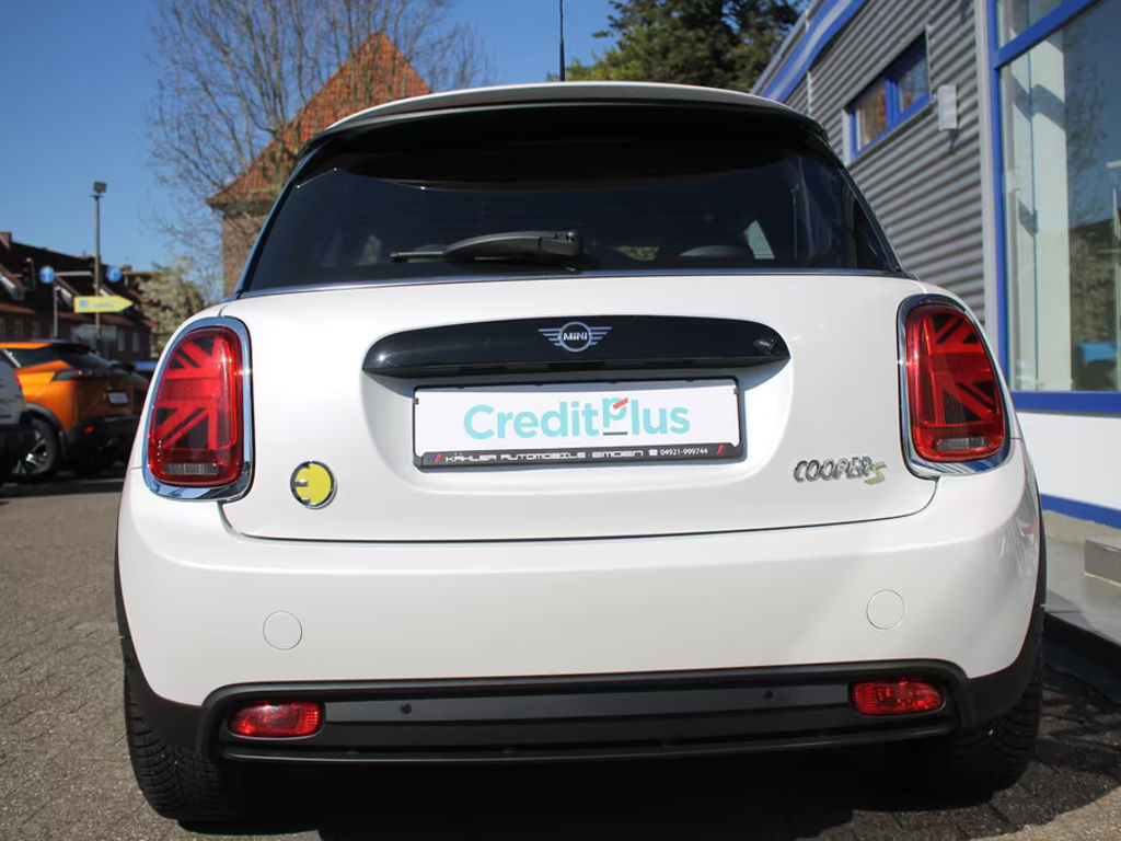 Mini Mini Electric