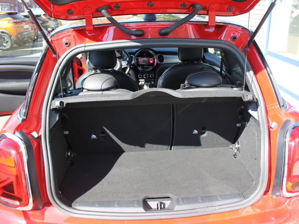 Mini Mini Electric