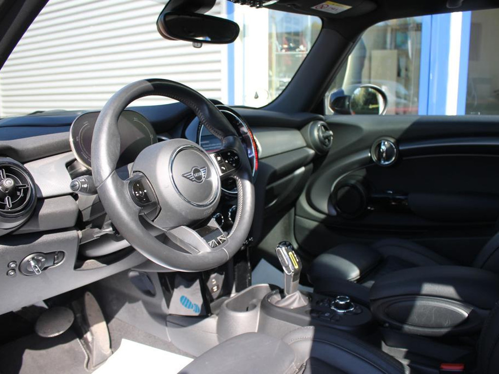 Mini Mini Electric