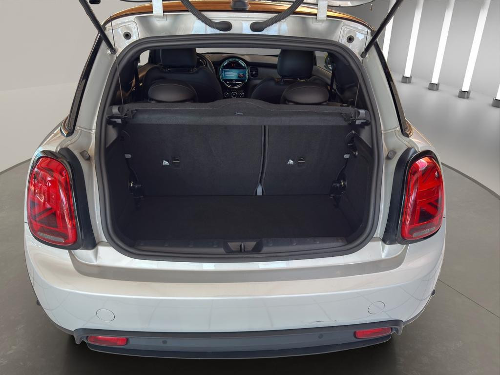 Mini Mini Electric