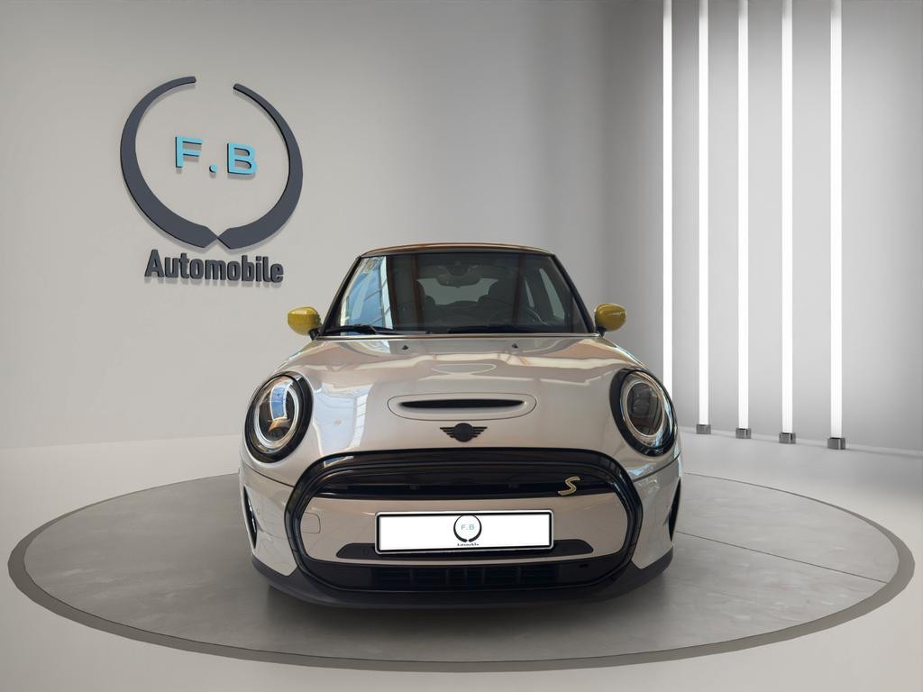 Mini Mini Electric