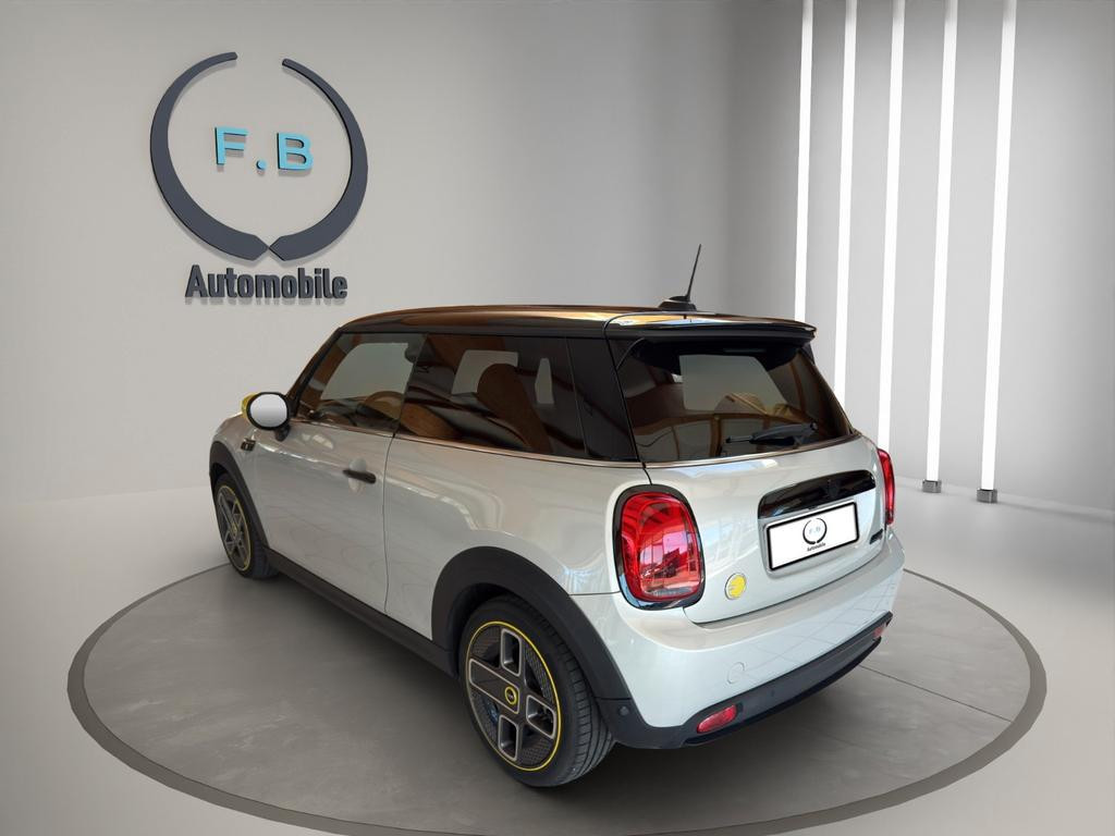 Mini Mini Electric