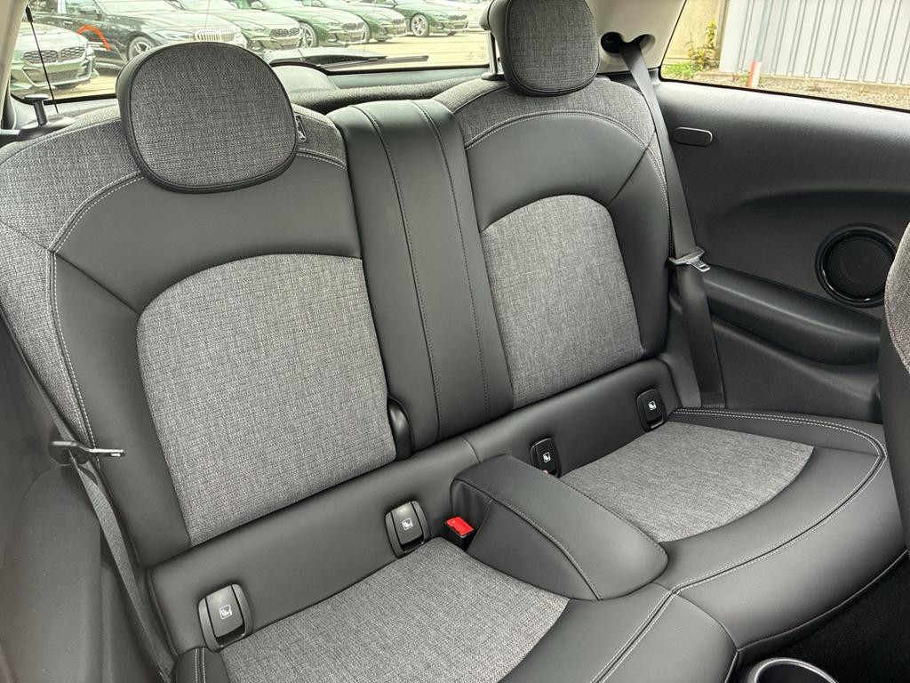 Mini Mini Electric