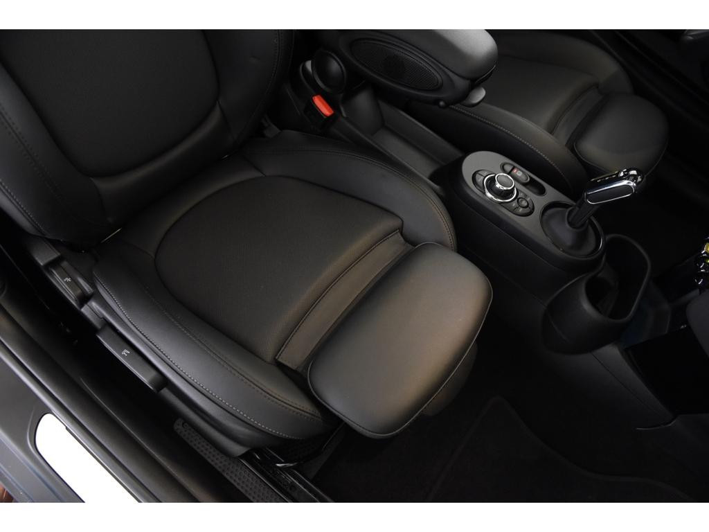 Mini Mini Electric