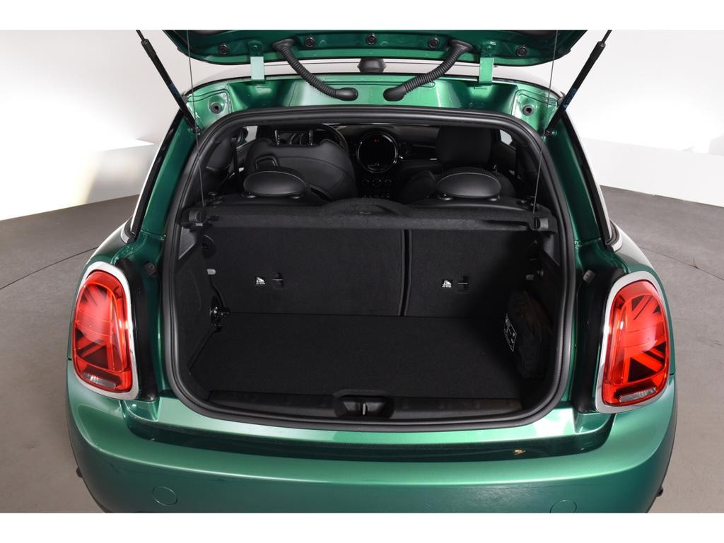 Mini Mini Electric
