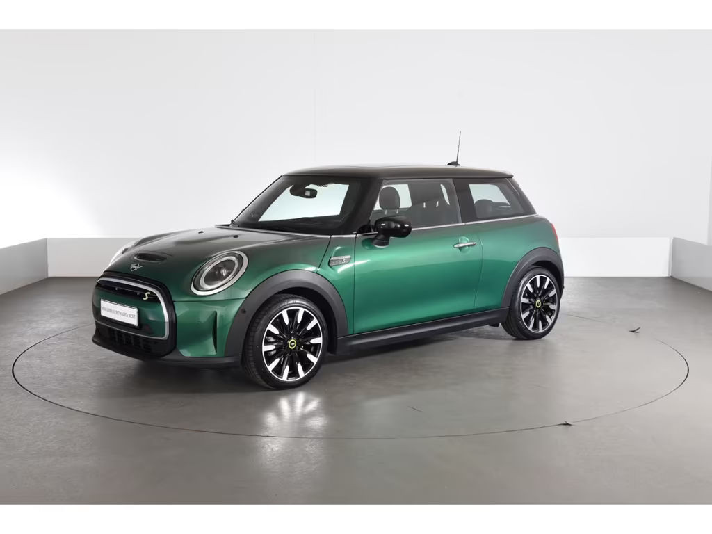 Mini Mini Electric