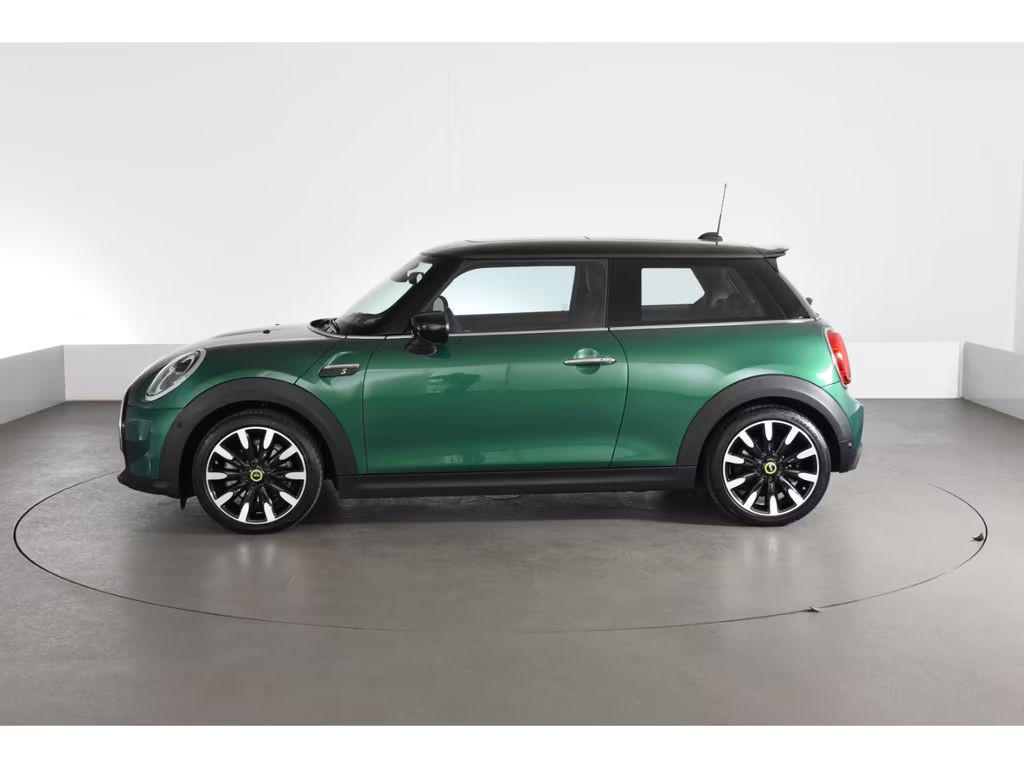 Mini Mini Electric
