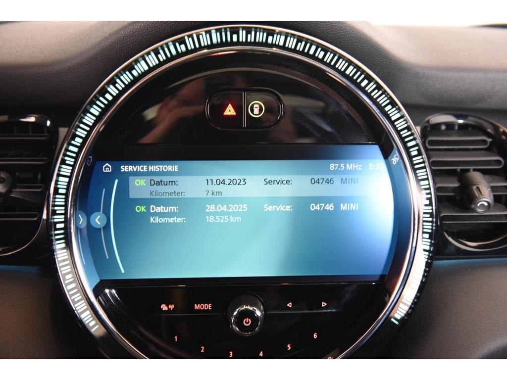Mini Mini Electric