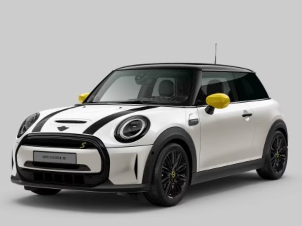 Mini Mini Electric