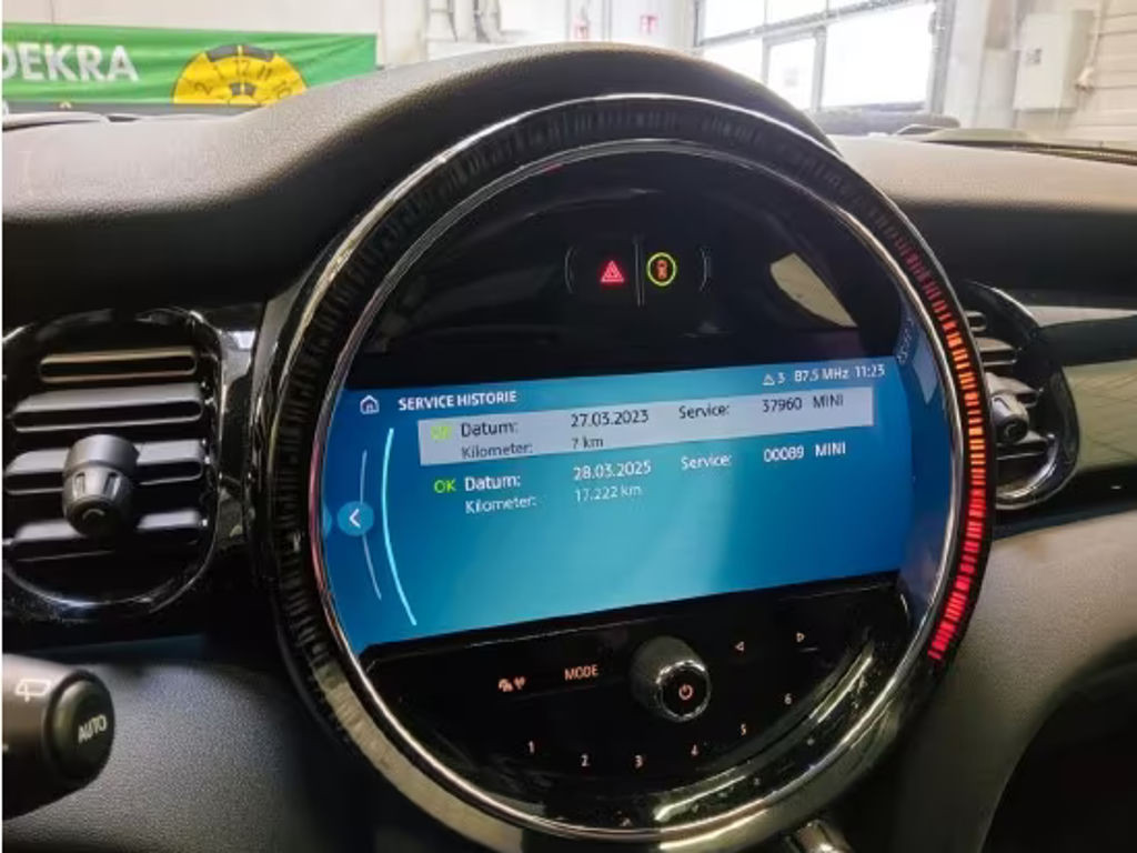 Mini Mini Electric