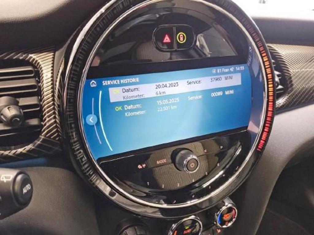 Mini Mini Electric
