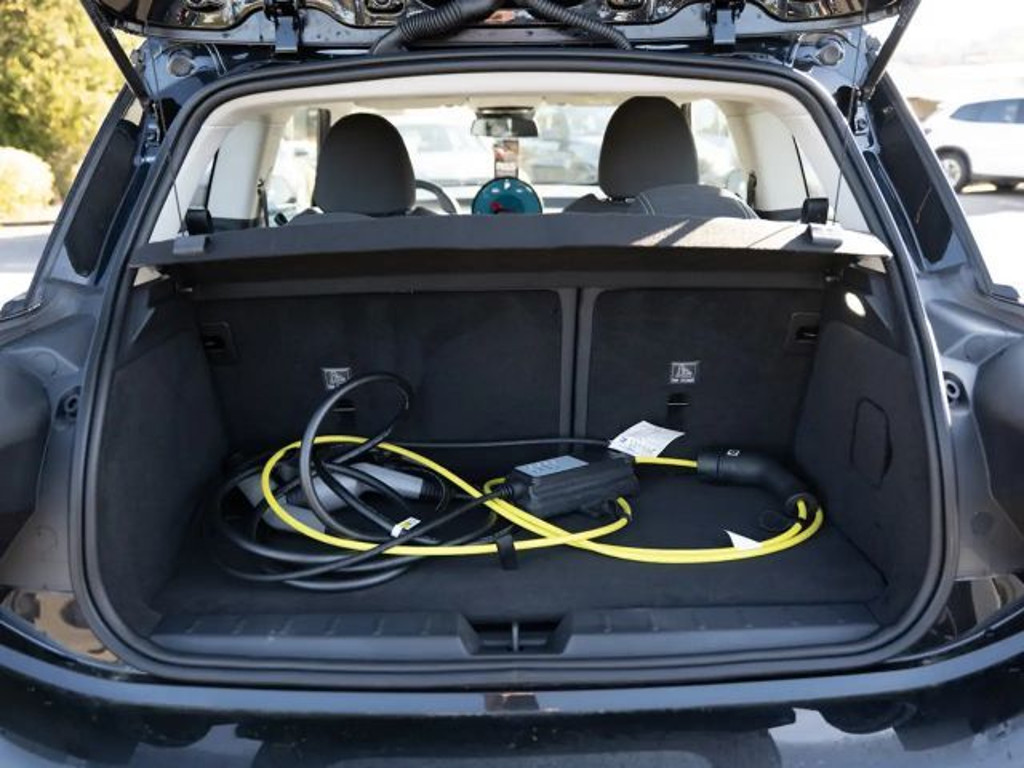 Mini Mini Electric